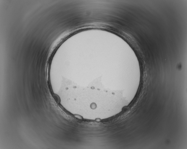 X0000116111180200912211626