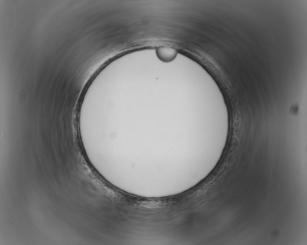 X0000116111182200912211626