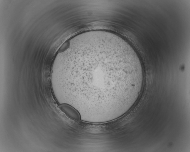 X0000116111185200912211626