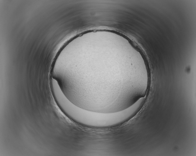 X0000116111189200912211626