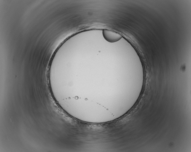 X0000116111190200912211626