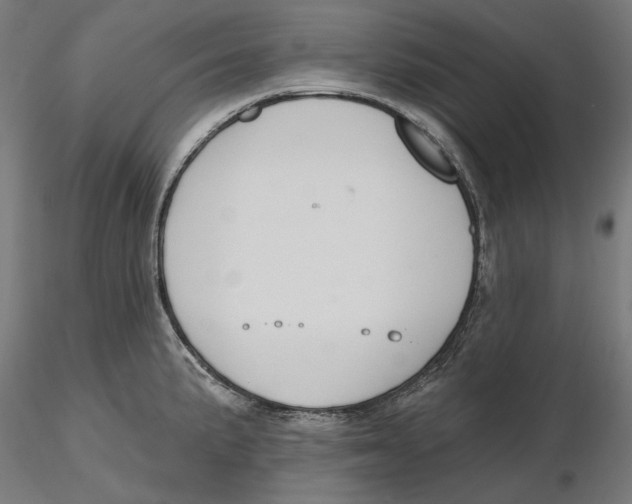 X0000116111191200912211626