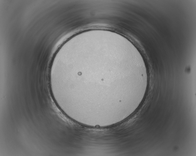 X0000116111192200912211626