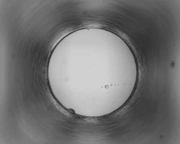 X0000116111194200912211626