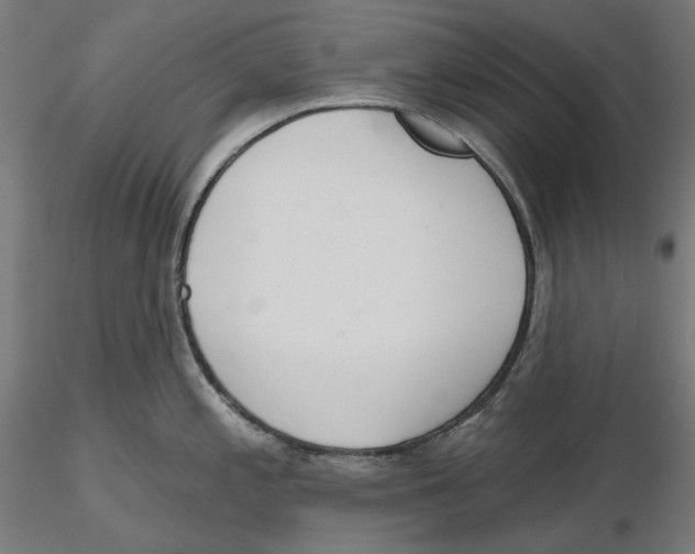 X0000116111197200912211626
