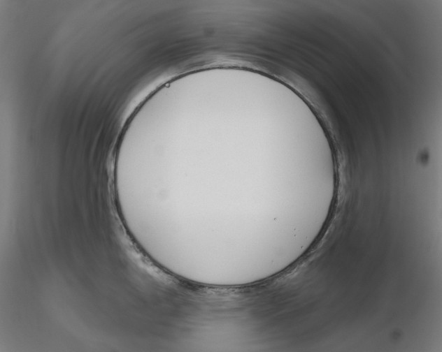 X0000116111198200912211626