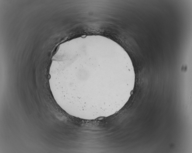 X0000116111201200912211625