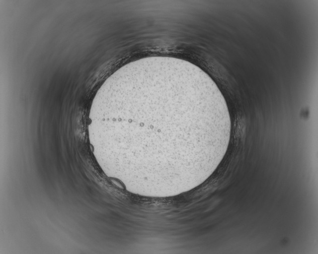 X0000116111202200912211625