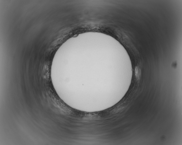 X0000116111203200912211625