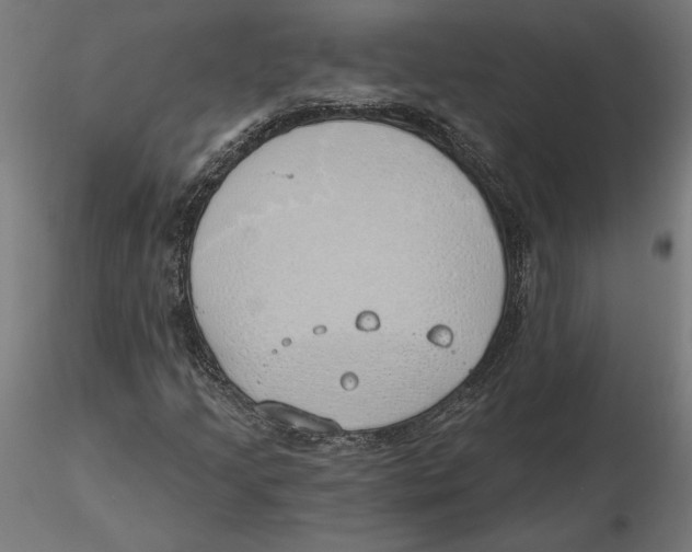 X0000116111205200912211625