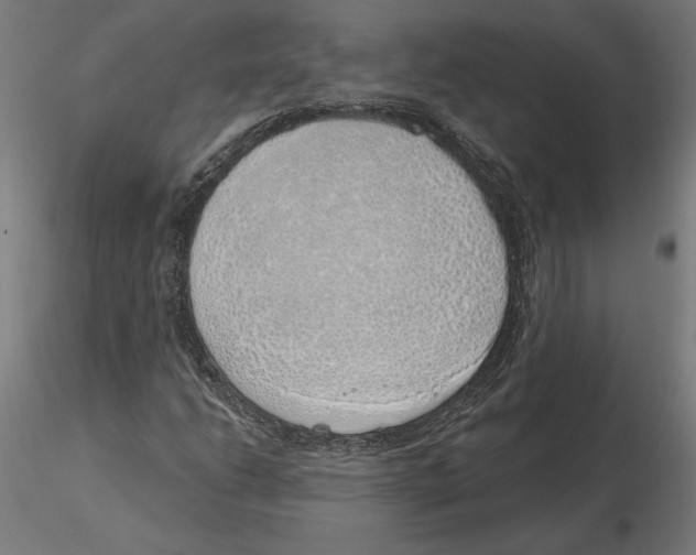 X0000116111206200912211625