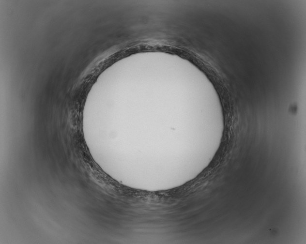 X0000116111207200912211625