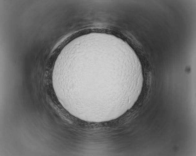 X0000116111208200912211625