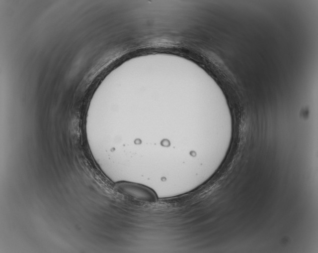 X0000116111209200912211625