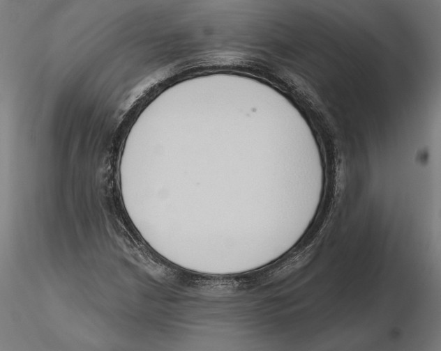 X0000116111210200912211625