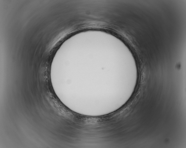 X0000116111211200912211625