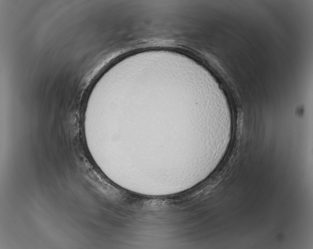 X0000116111212200912211625