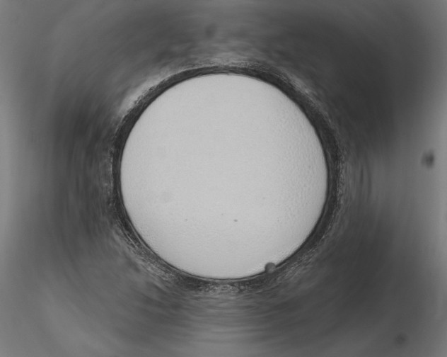 X0000116111214200912211625