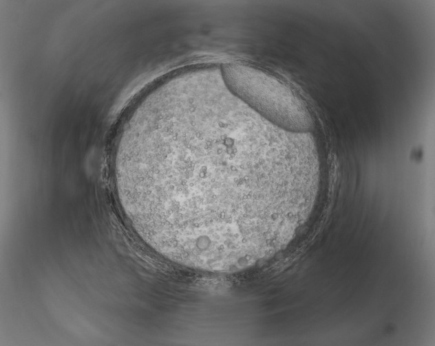 X0000116111215200912211625