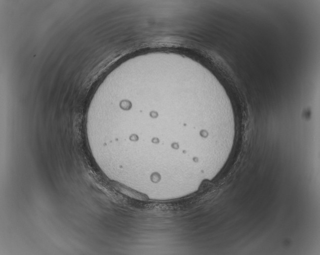 X0000116111217200912211625