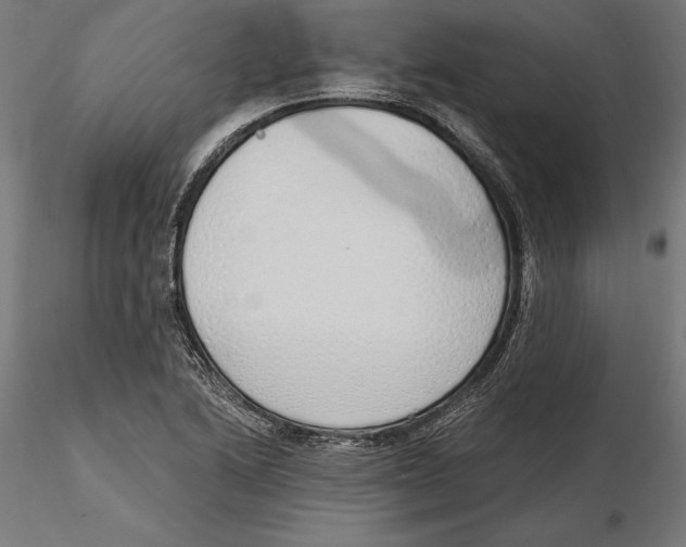 X0000116111222200912211626