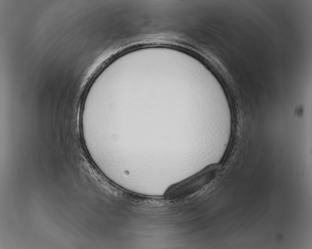 X0000116111224200912211626