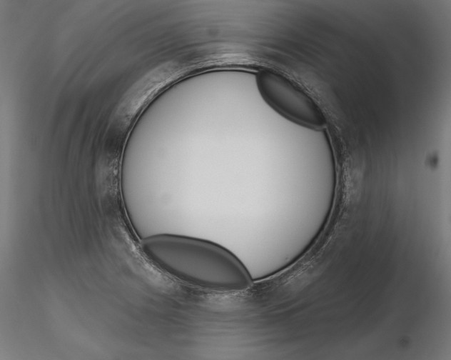 X0000116111225200912211626