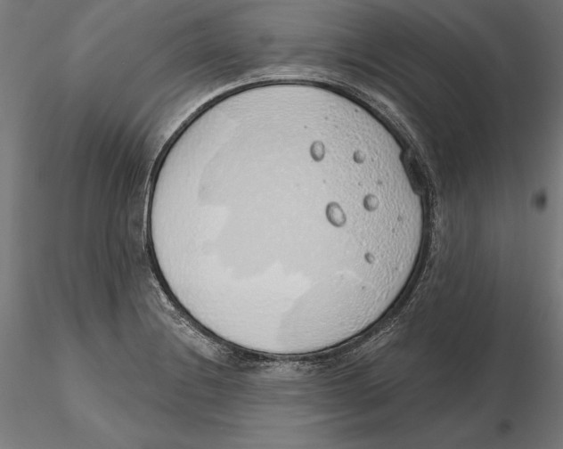 X0000116111228200912211626