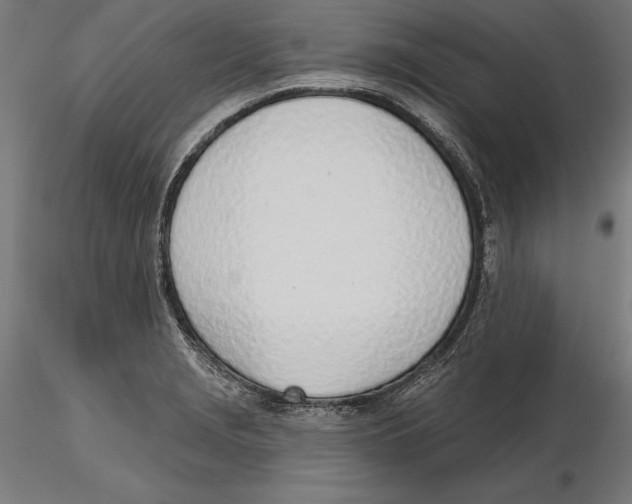 X0000116111229200912211626