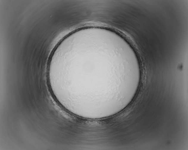 X0000116111231200912211626