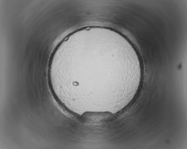 X0000116111237200912211626