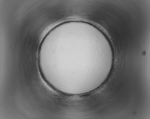 X0000116111239200912211626