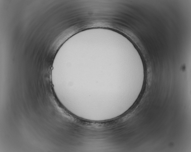 X0000116111241200912211626