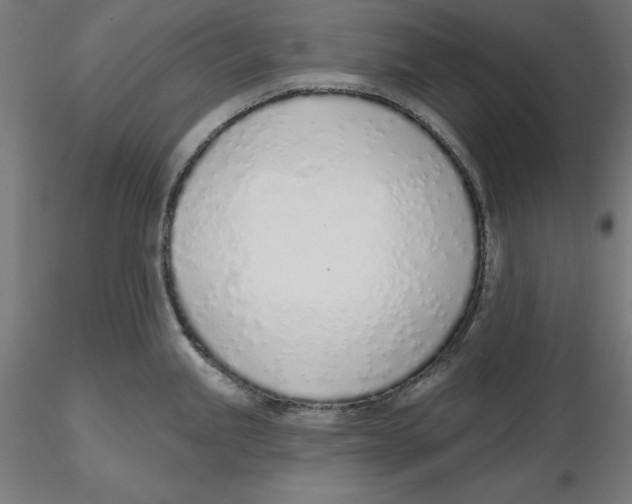 X0000116111245200912211626