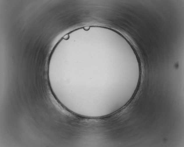 X0000116111246200912211626