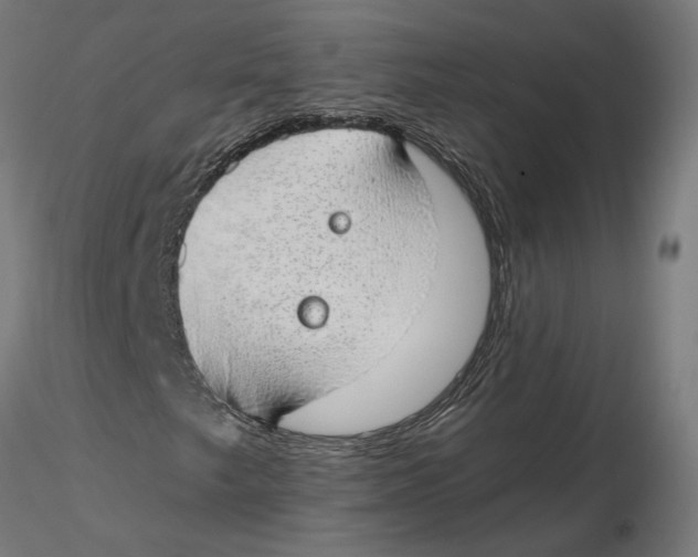 X0000116111249200912211625