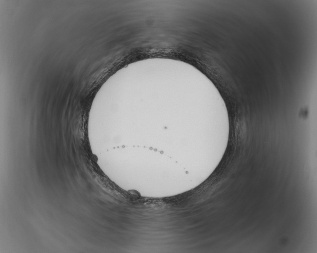 X0000116111250200912211625