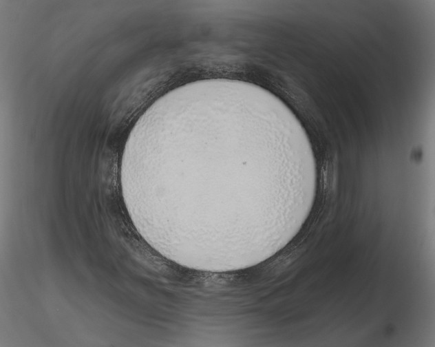 X0000116111251200912211625