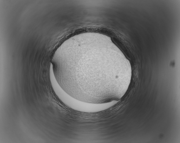 X0000116111252200912211625