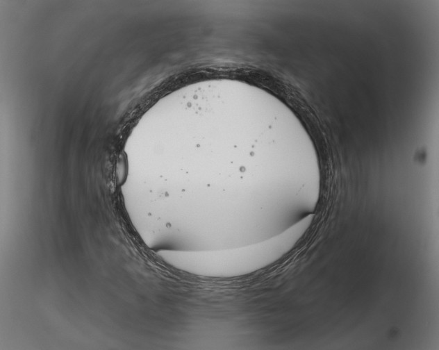 X0000116111253200912211625