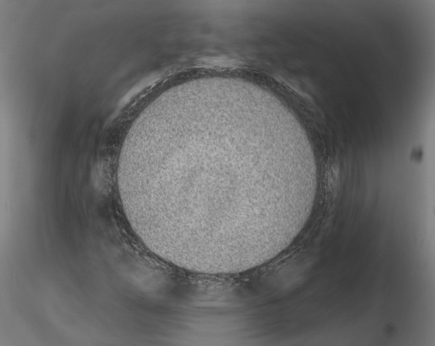 X0000116111254200912211625