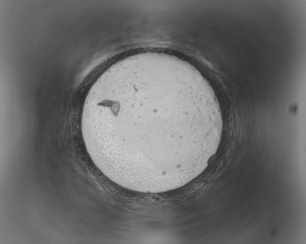 X0000116111255200912211625