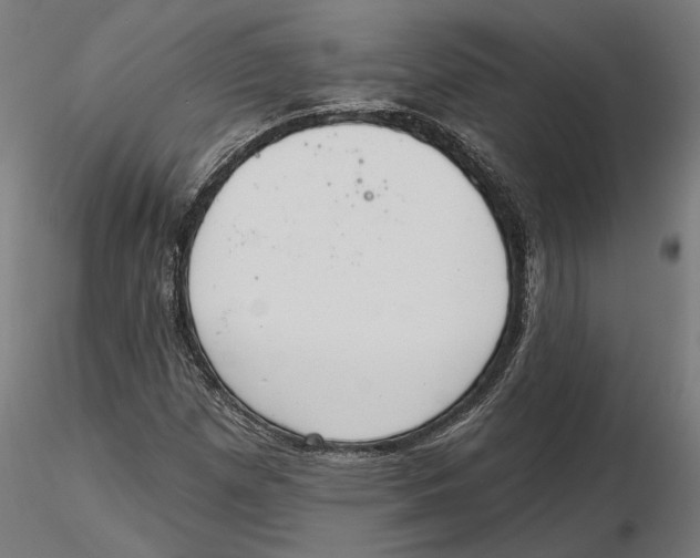 X0000116111257200912211625