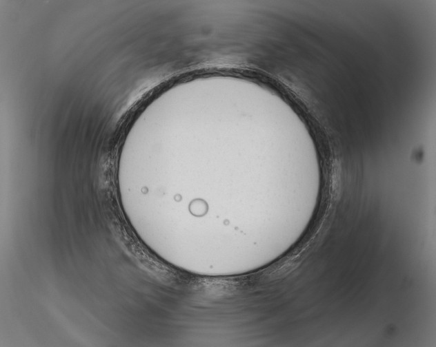 X0000116111258200912211625