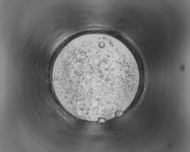 X0000116111259200912211625