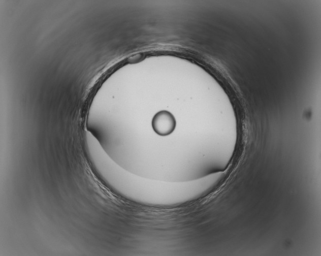 X0000116111260200912211625