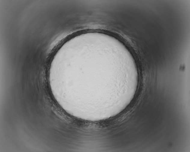 X0000116111263200912211625