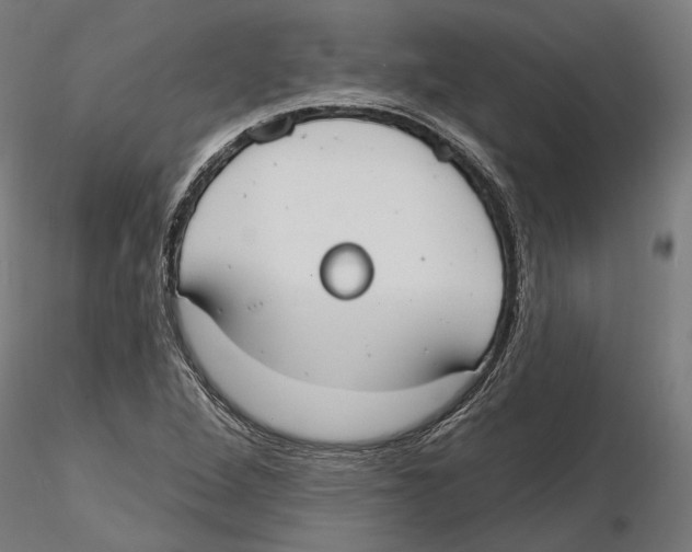 X0000116111264200912211625