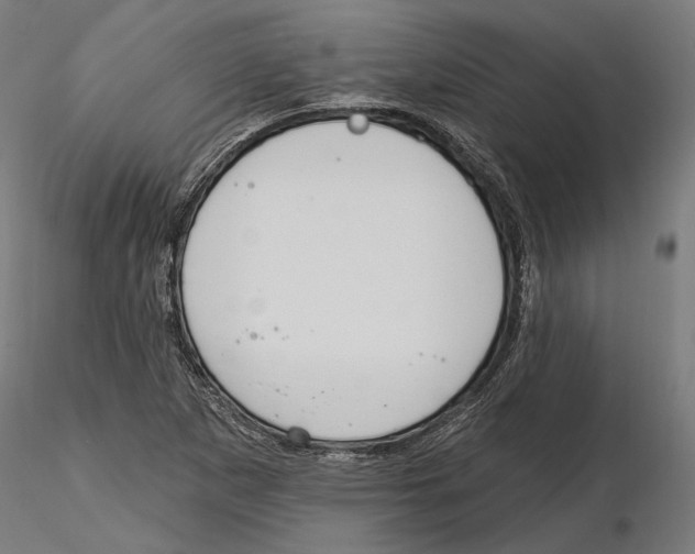 X0000116111265200912211625