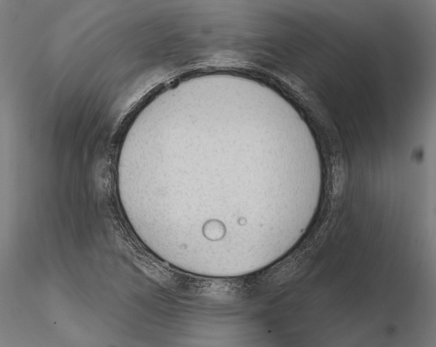 X0000116111266200912211625